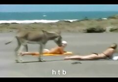 Candace súper peliculas abuelas xxx dulce ébano tetas interracial